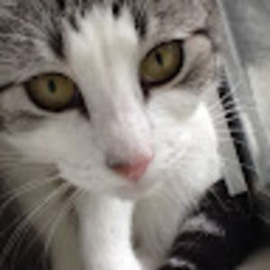 Meet your Posher, Fiona